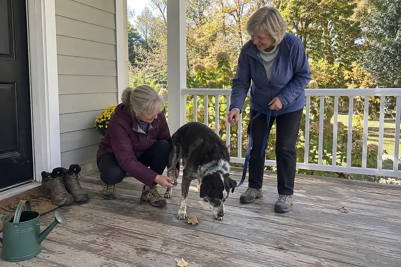 Older woman checking between her dog’s toes on a porch after a walk.