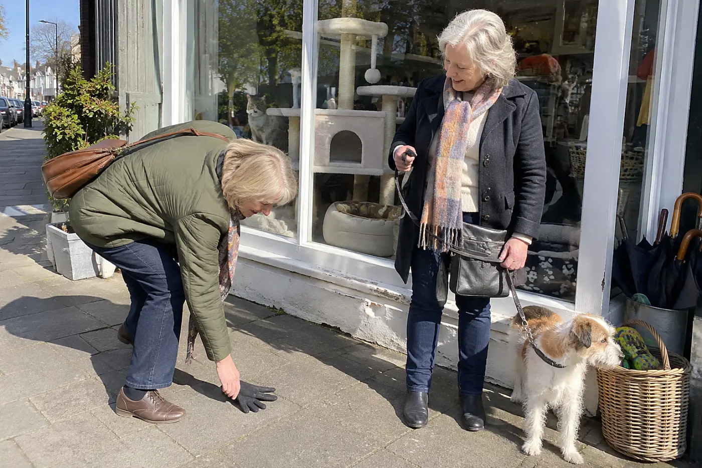 An older woman holds a dog collar near the window of a pet shop.