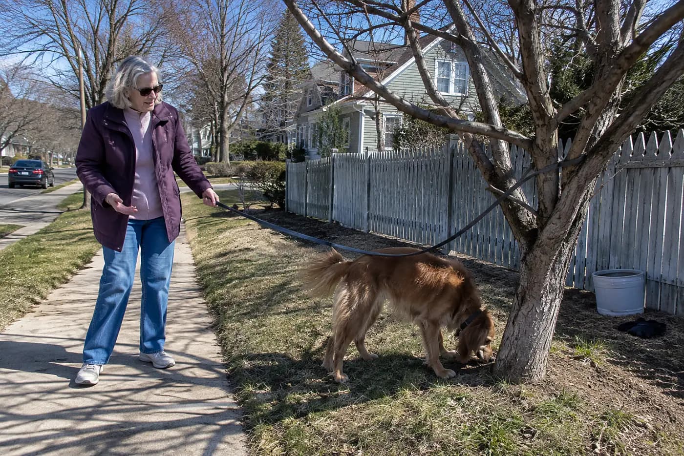 Woman in her sixties holding a loose leash while her dog sniffs a tree beside a neighborhood sidewalk.