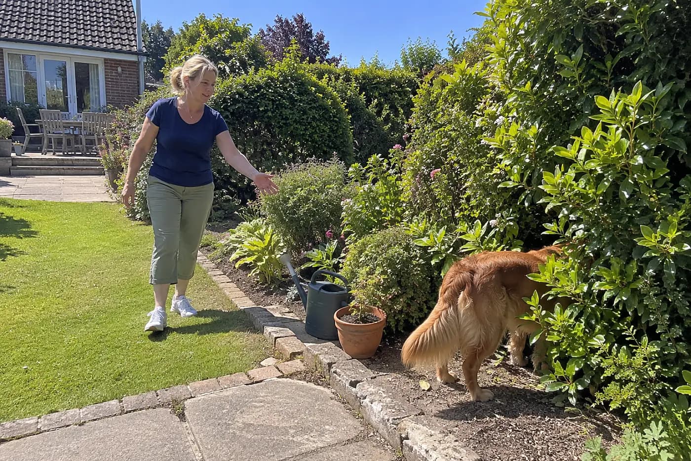 Woman in her fifties calling her dog away from a hedge along a garden path.
