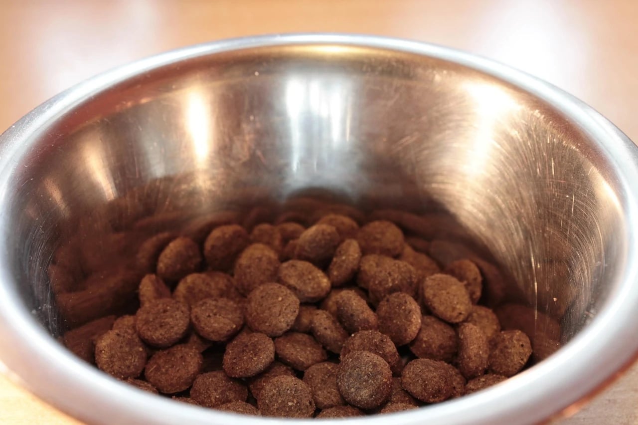 Stainless steel dog bowl filled with brown dry kibble on a wooden surface