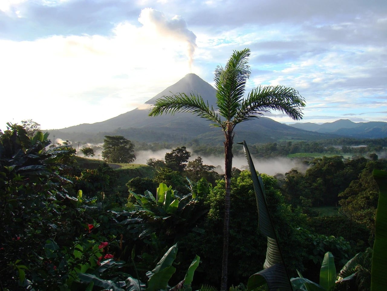 Arenal volcano with a steam plume rising above misty green Costa Rican rainforest and a palm tree