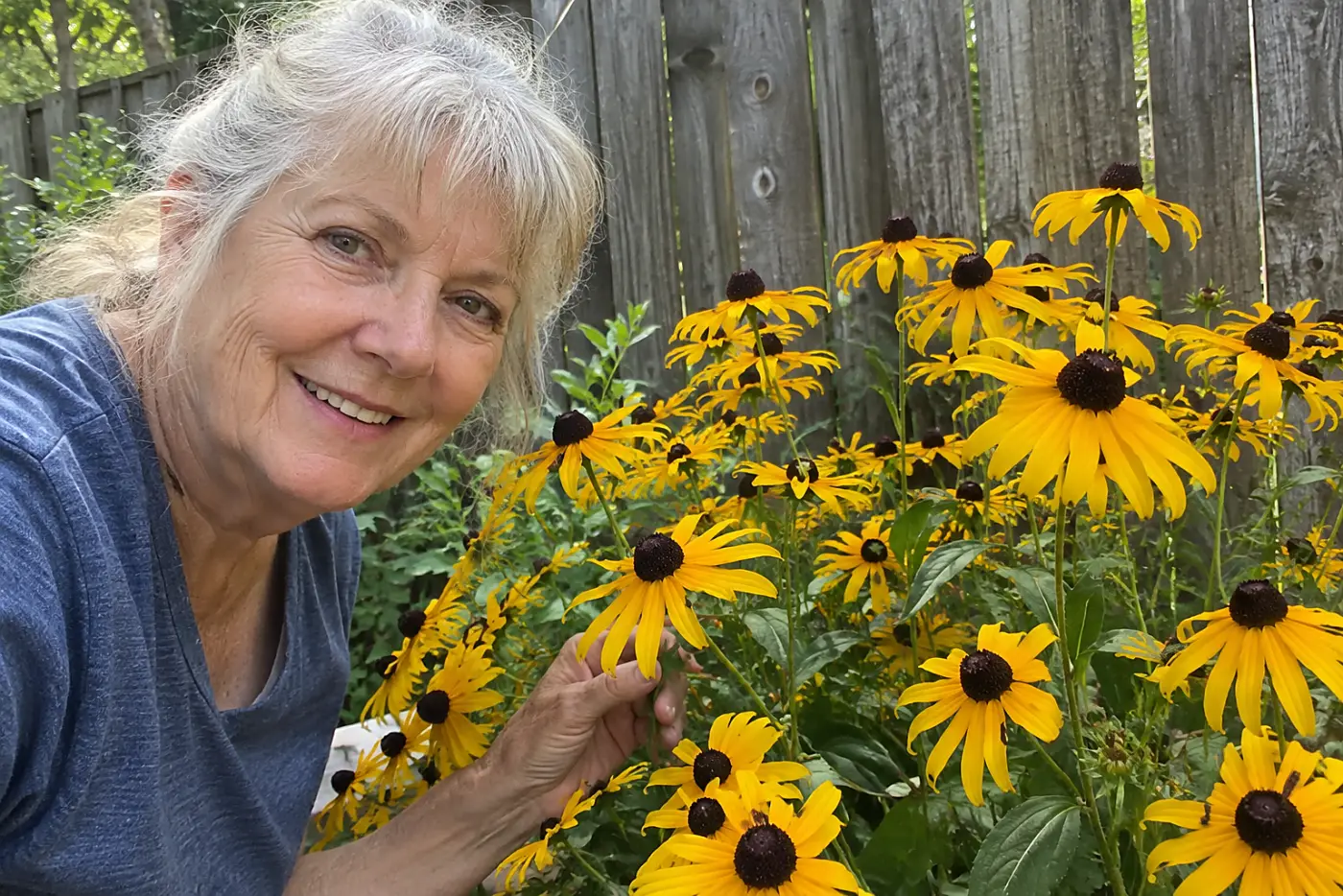 A woman in her sixties touches a yellow black-eyed Susan near a wooden fence.