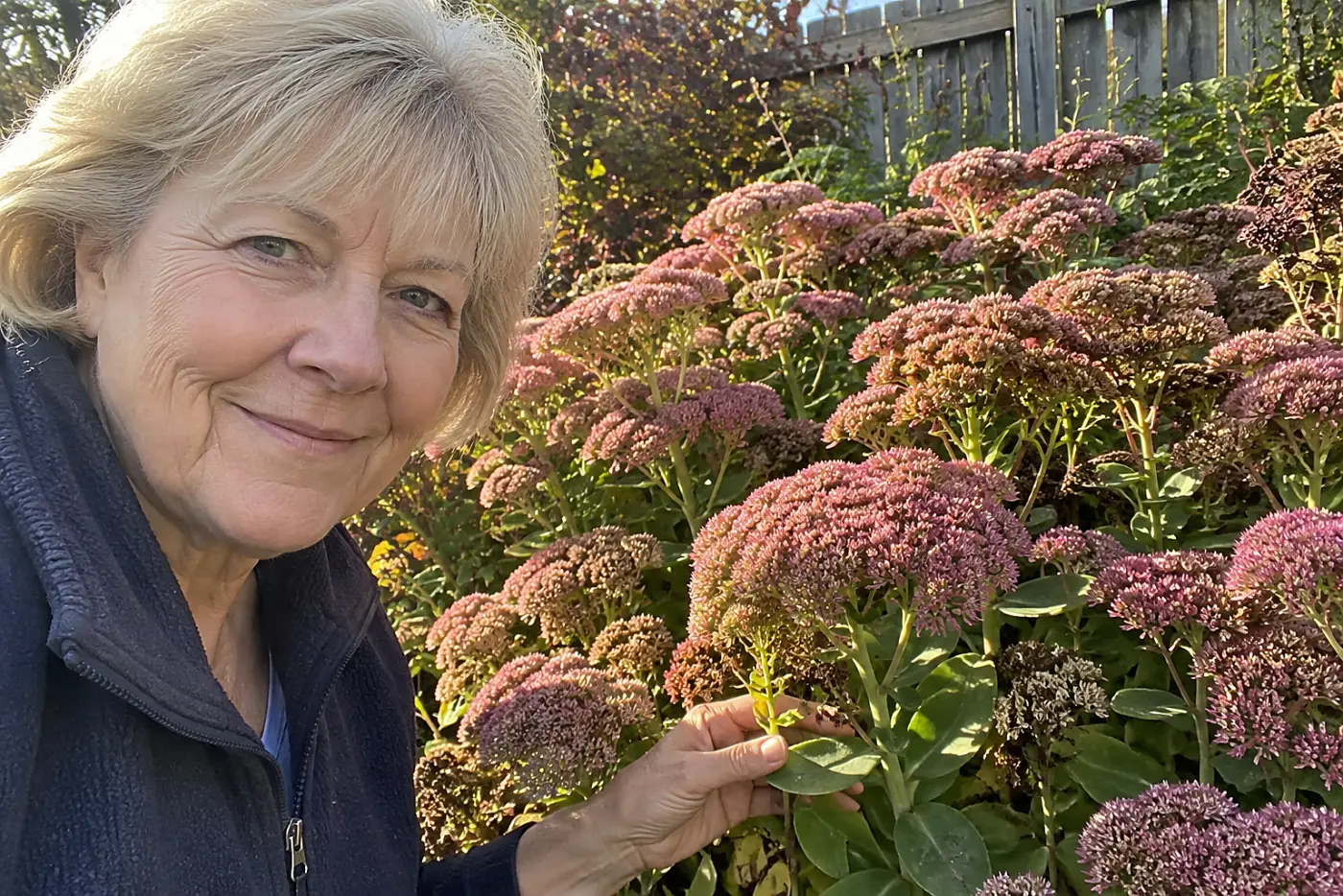 A smiling woman in her sixties with short blonde hair touches a pink Sedum plant.