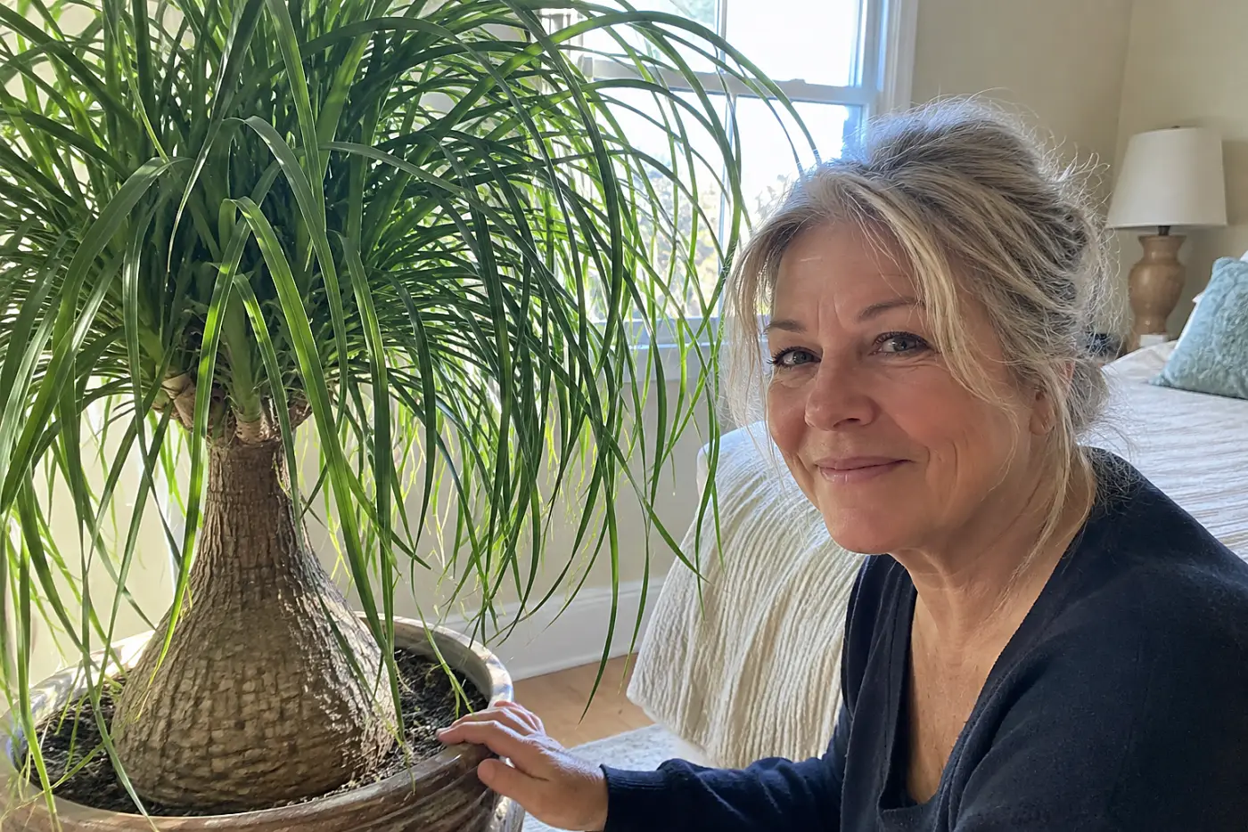 A smiling woman with grey hair touches a potted ponytail palm in a bright room.