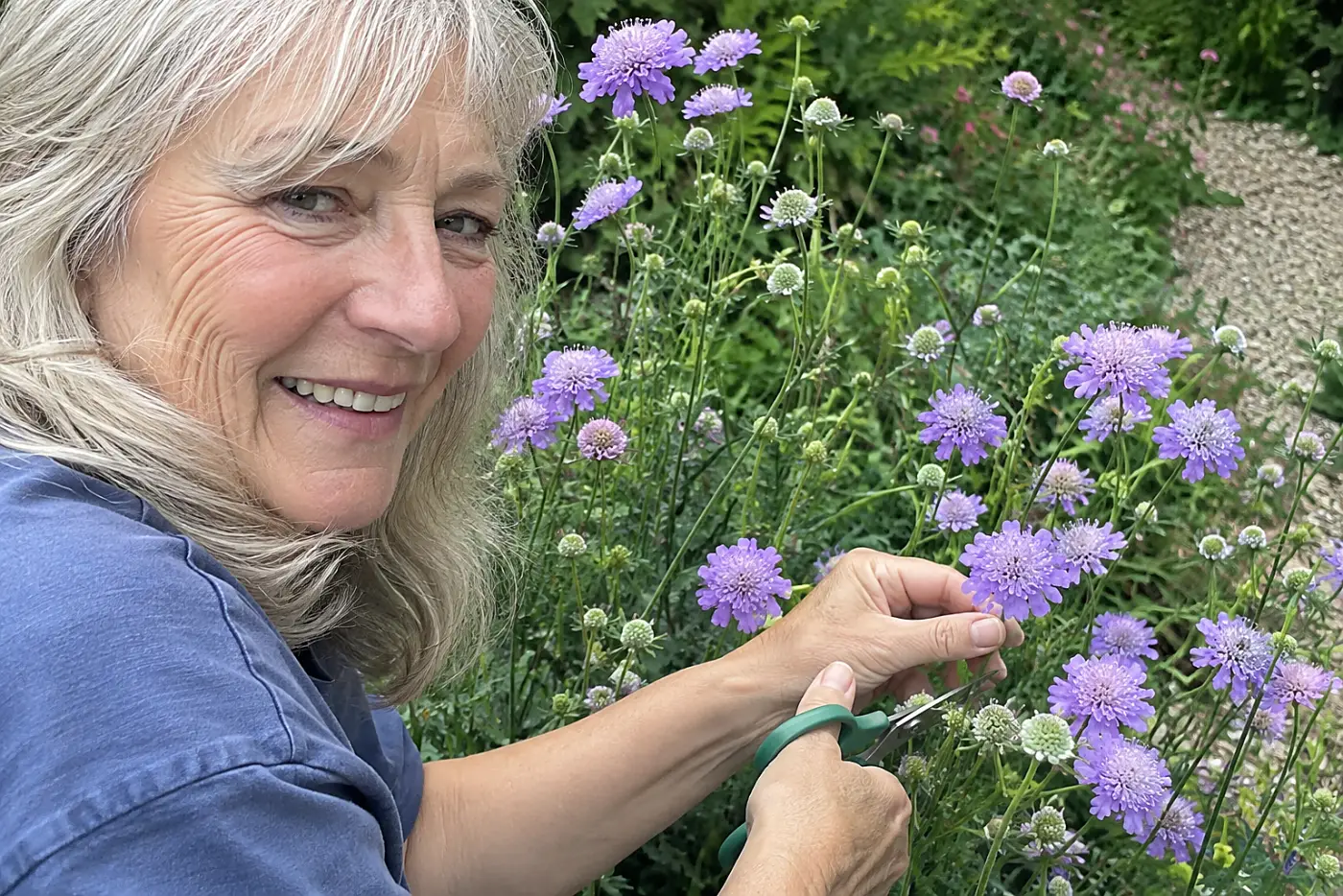 A smiling woman in her sixties with grey hair cuts lavender pincushion flowers.