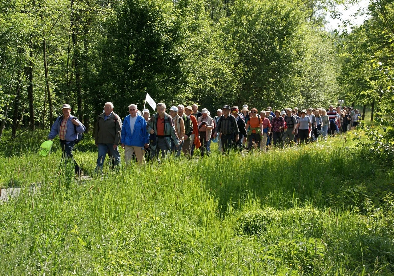 Large group of older men and women walking in a line along a green wooded path