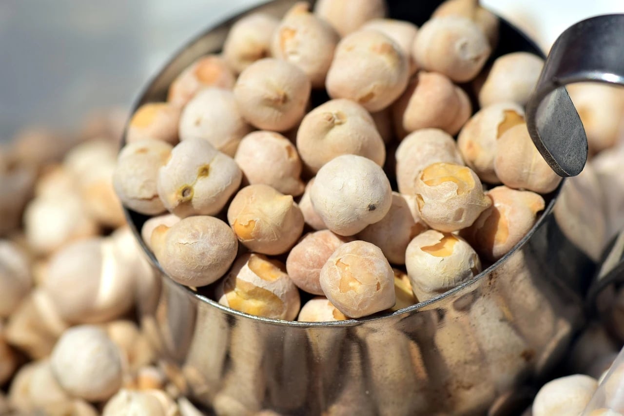 Close-up of roasted chickpeas heaped in a shiny metal scoop with more chickpeas blurred behind