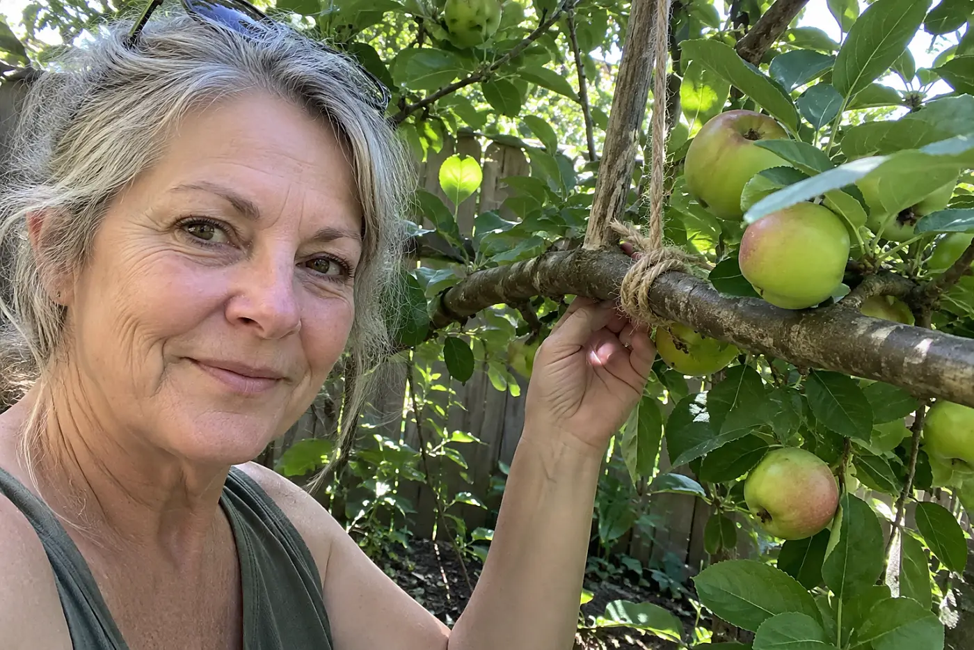 A woman in her sixties checks twine tied around a fruiting apple tree branch.