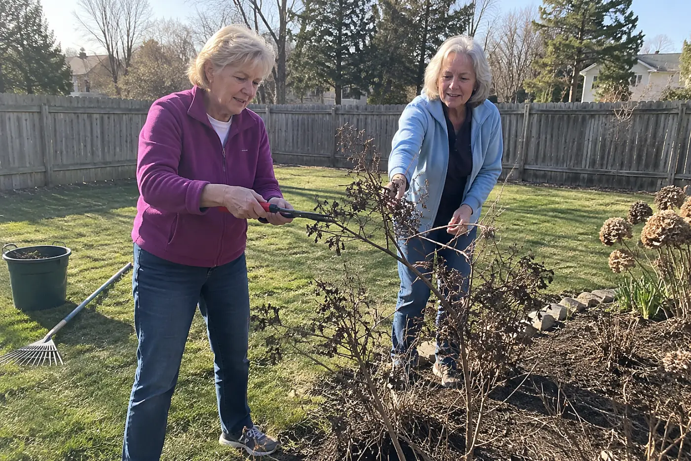 Older woman cutting a dead shrub branch with pruners in her yard.