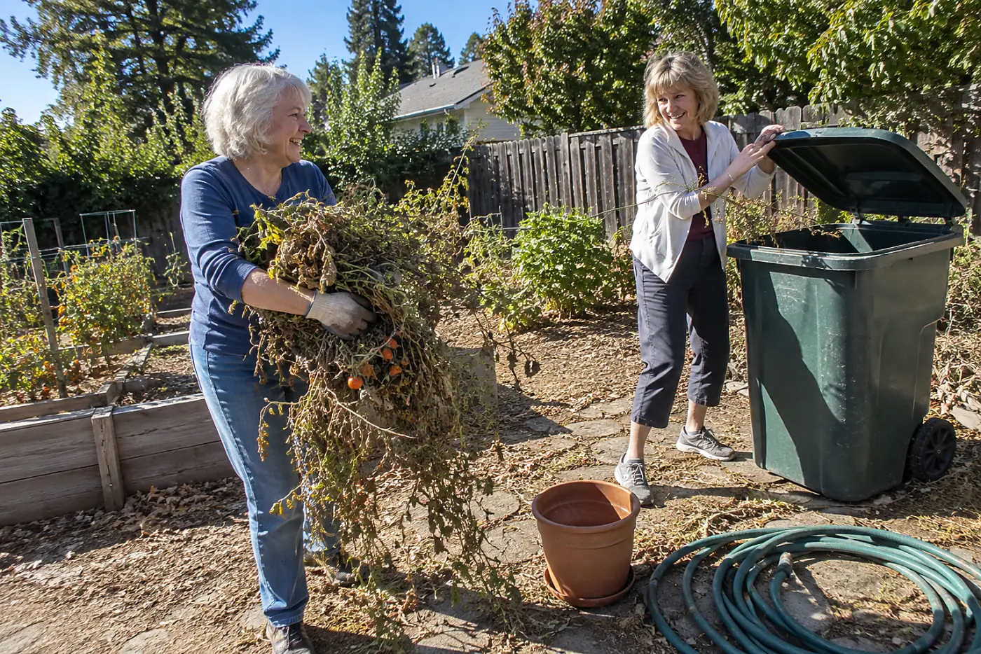 Older woman carrying spent tomato vines to a yard waste bin beside her garden.