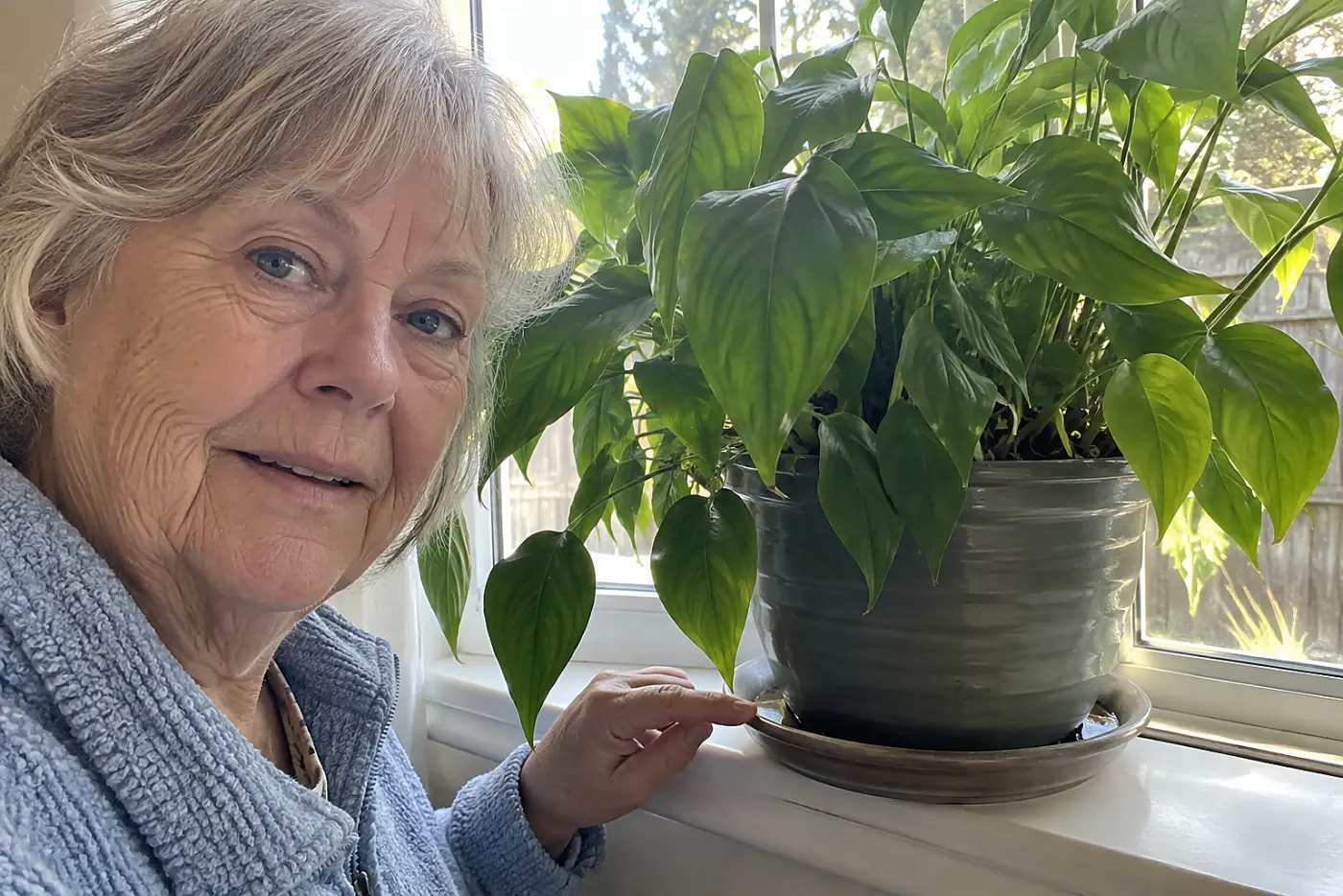 A houseplant saucer beneath a potted plant fills the center of a real living-room windowsill as a woman over 70 checks for water, with no writing visible.