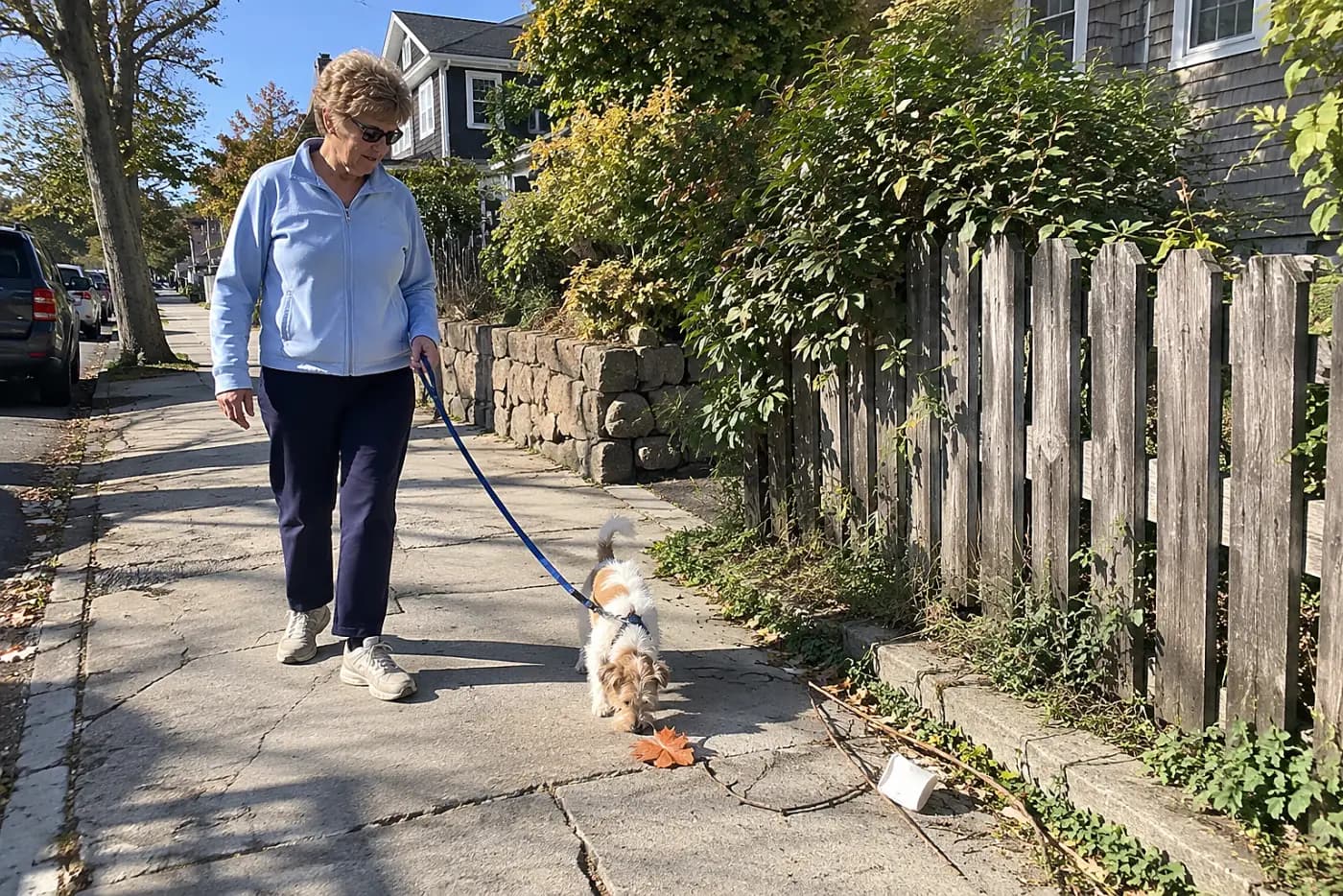 Older woman watches the pavement while walking along a cracked sidewalk.