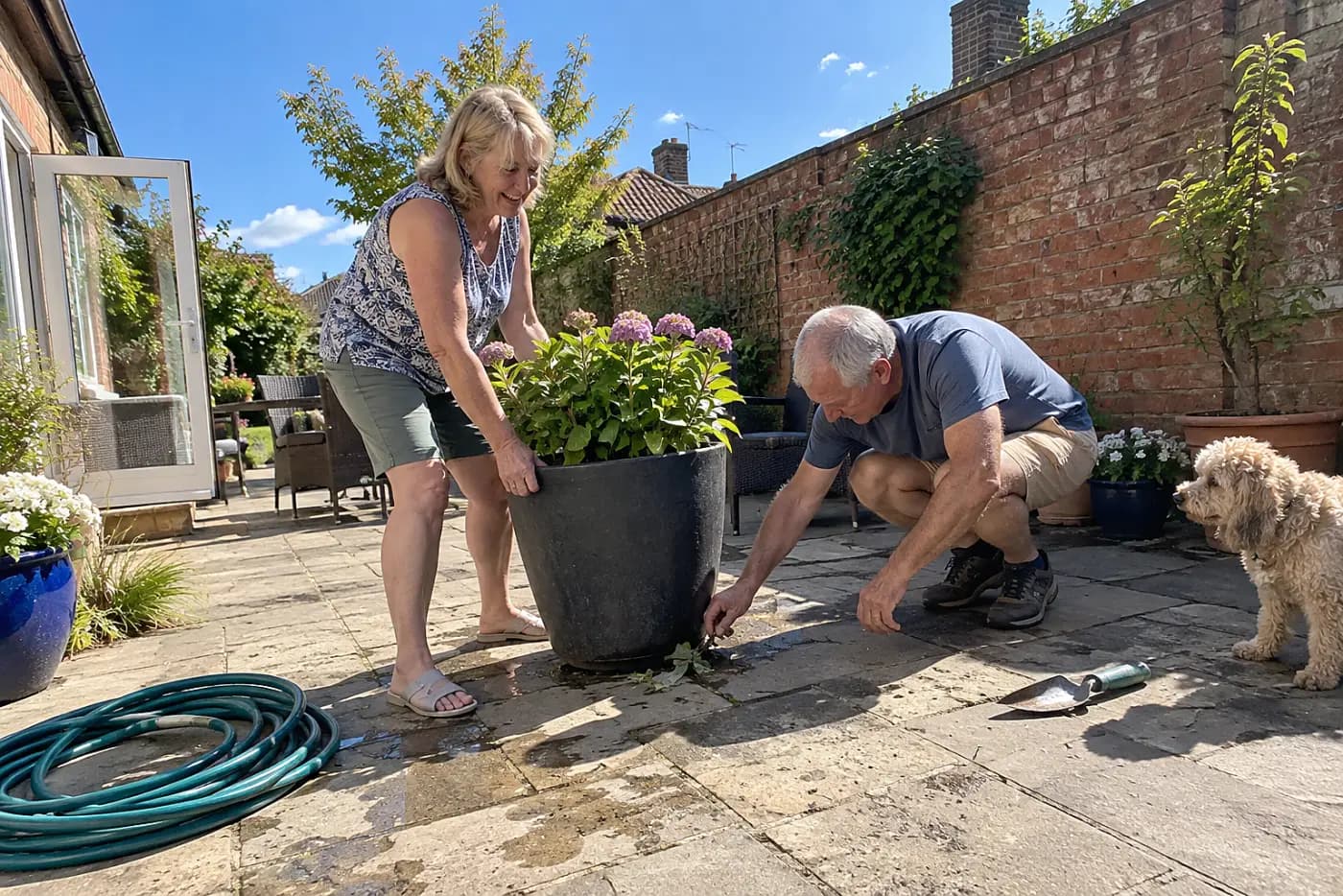 Woman moving a dark flowerpot away from a brick wall on a sunny patio.