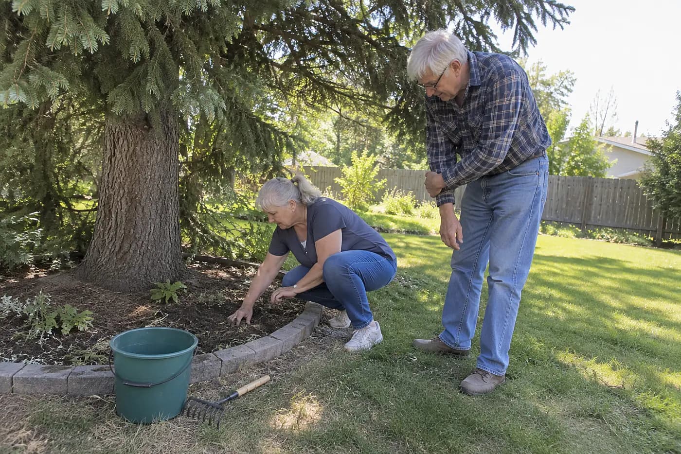 Older woman feeling the soil beneath a backyard evergreen.