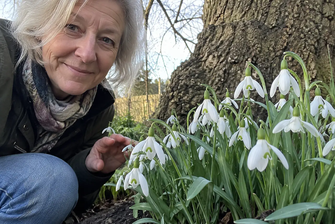 White snowdrops fill the middle of the frame beneath a bare backyard tree, with a woman in her sixties crouching nearby.