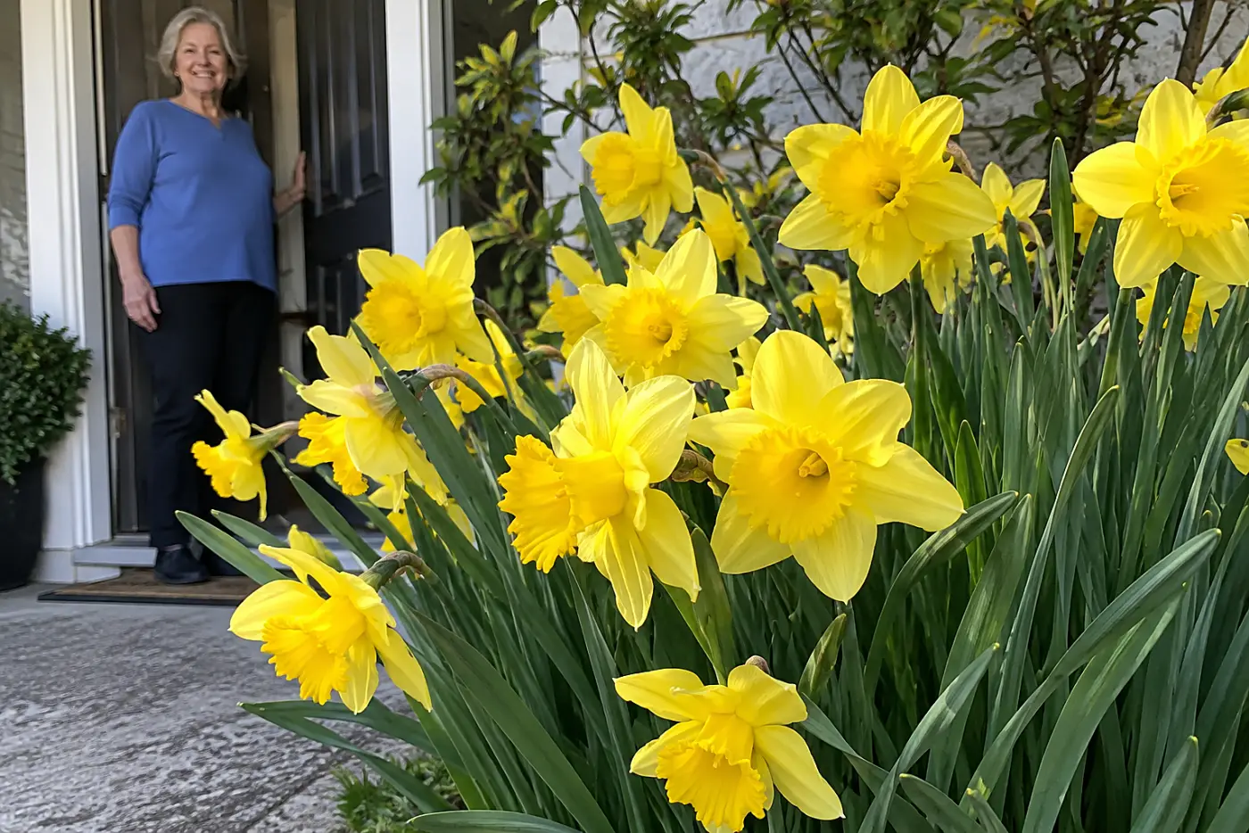 Yellow daffodils fill the middle of the frame beside a worn front walk as a woman in her sixties steps outside.
