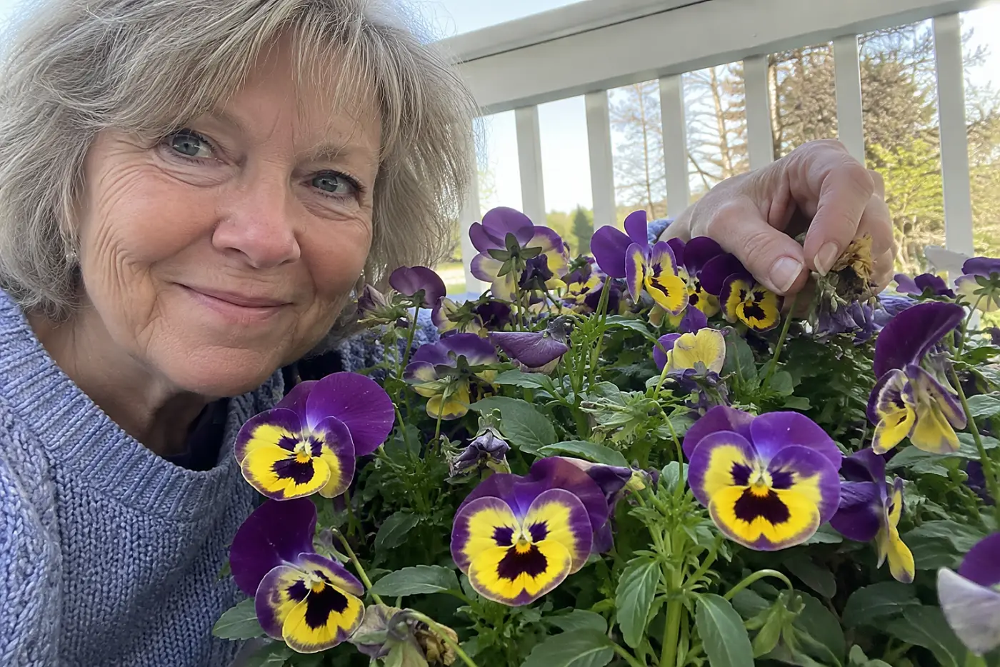 Purple-and-gold pansies fill the middle of the frame in a porch pot beside a woman in her sixties wearing a sweater.