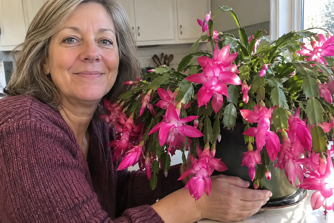 A flowering Christmas cactus sits in the middle of a real dining table beside a woman over 50, with no visible writing.