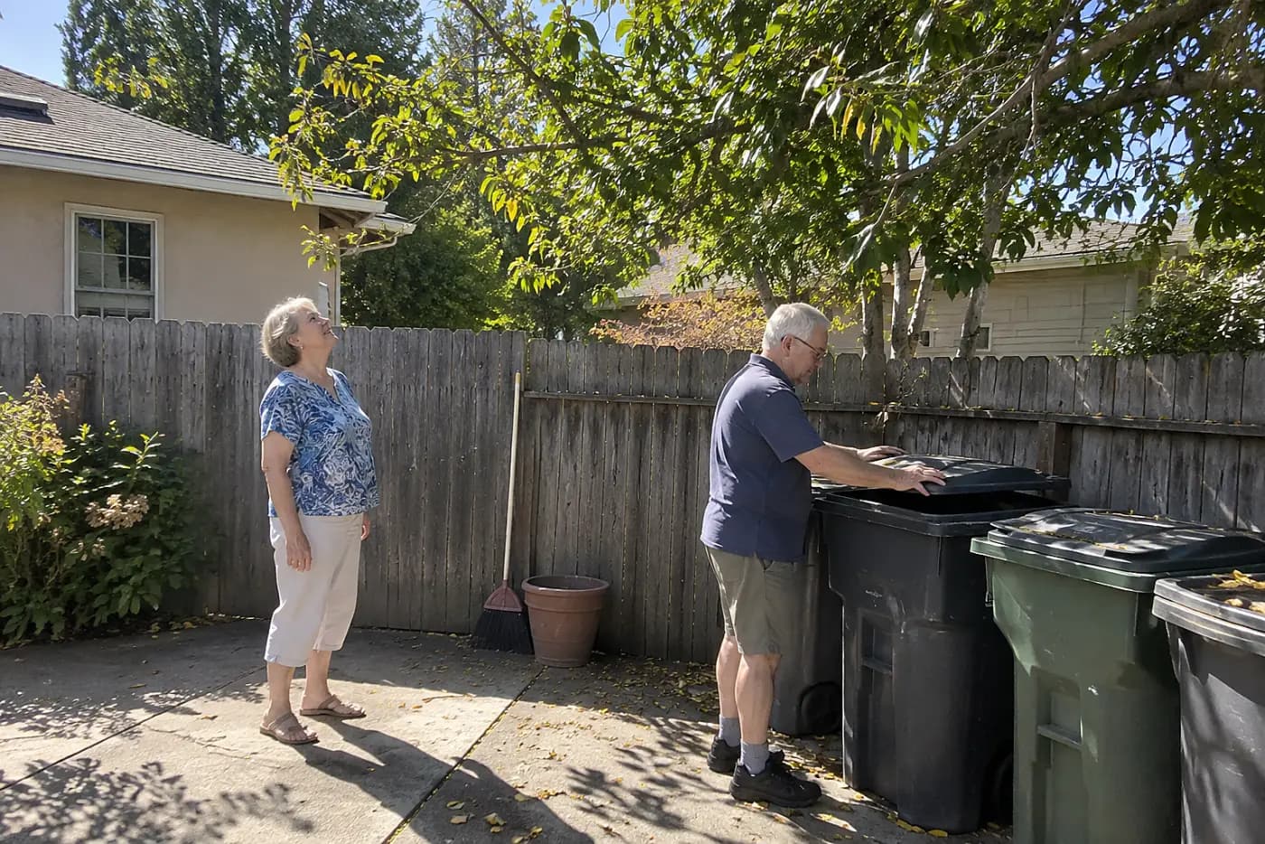 Woman looking up at a branch overhanging her neighbor's bins beside a shared fence.