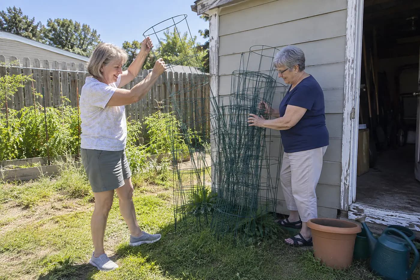 Older woman stacking tomato cages beside a shed in her backyard.