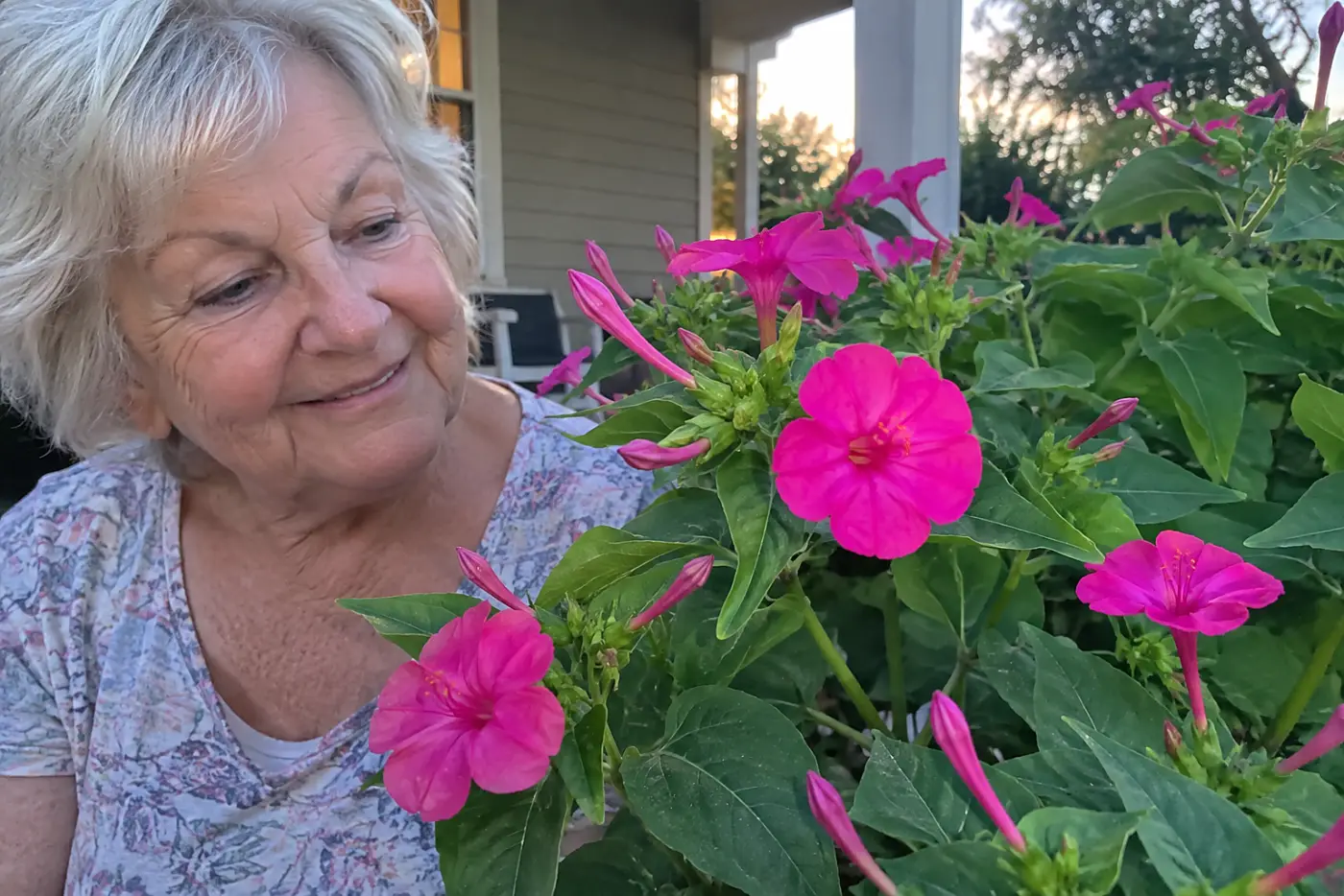 Hot pink four o'clock flowers fill the middle of the frame beside a porch at dusk, with a woman in her seventies sitting nearby.