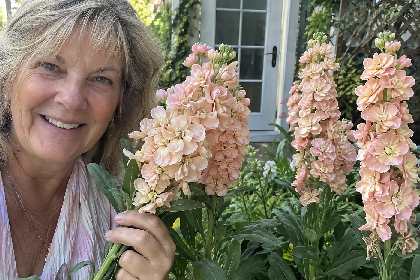 Peach stock flower spikes fill the middle of the frame near a garden door, with a woman in her sixties holding a few cut stems.