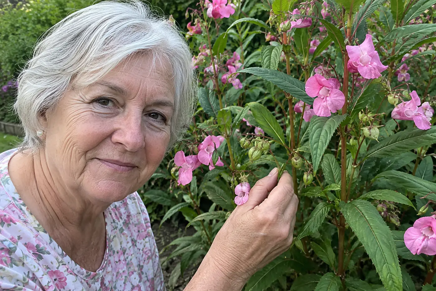 Pink garden balsam flowers tucked against thick stalks fill the middle of the frame, with a woman in her seventies touching a ripe seed capsule.