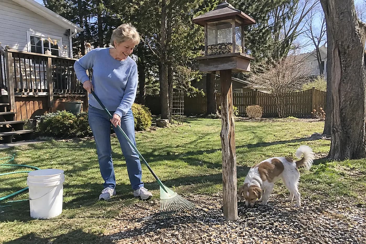 Older woman raking seed hulls beneath a backyard bird feeder.