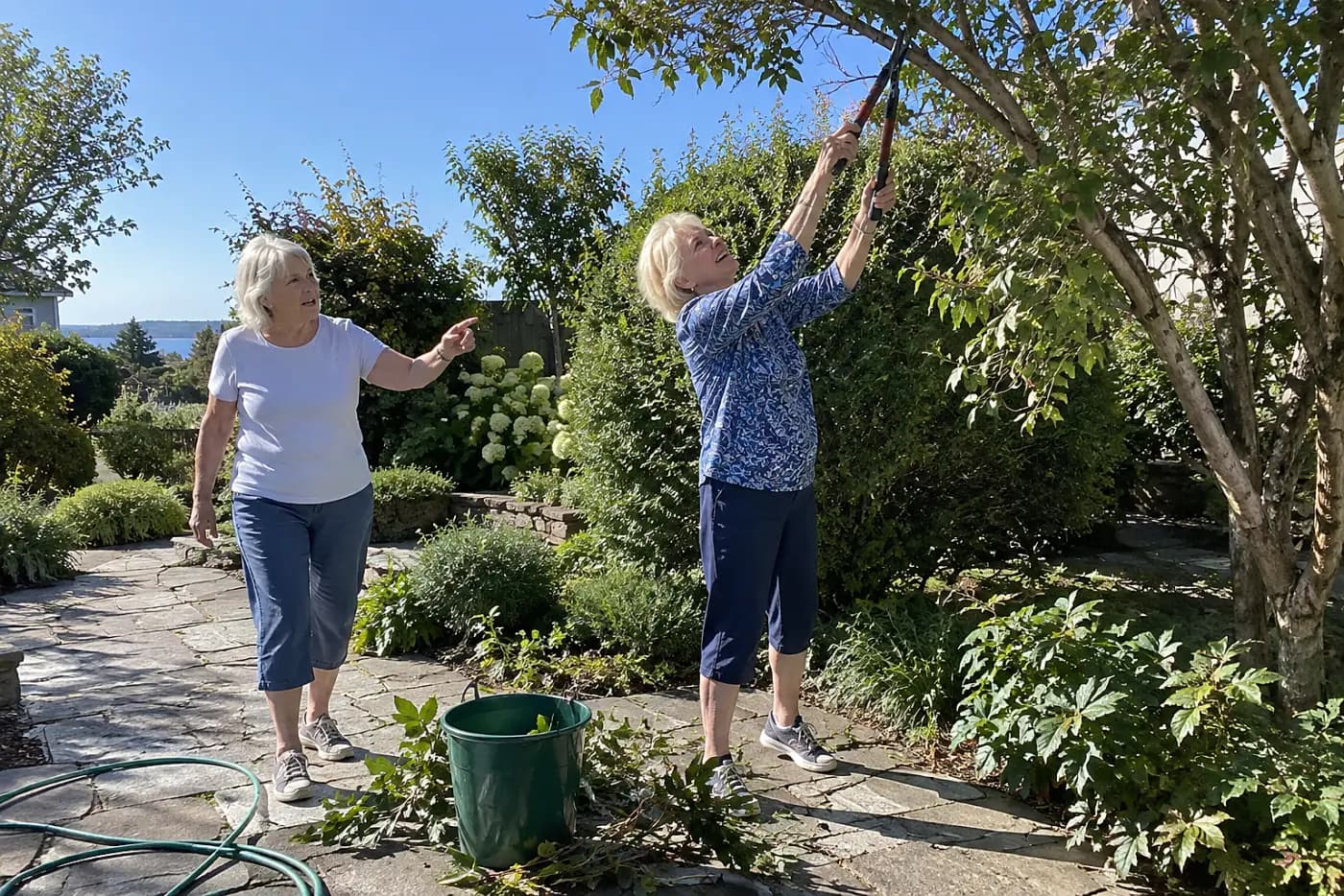 Older woman pruning a branch above a garden walkway.