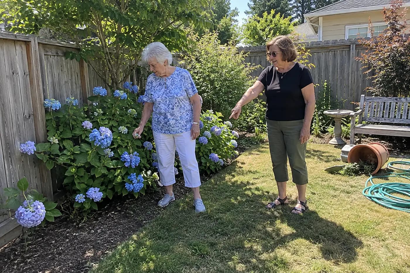Woman checking the shade beside a hydrangea near a backyard fence.