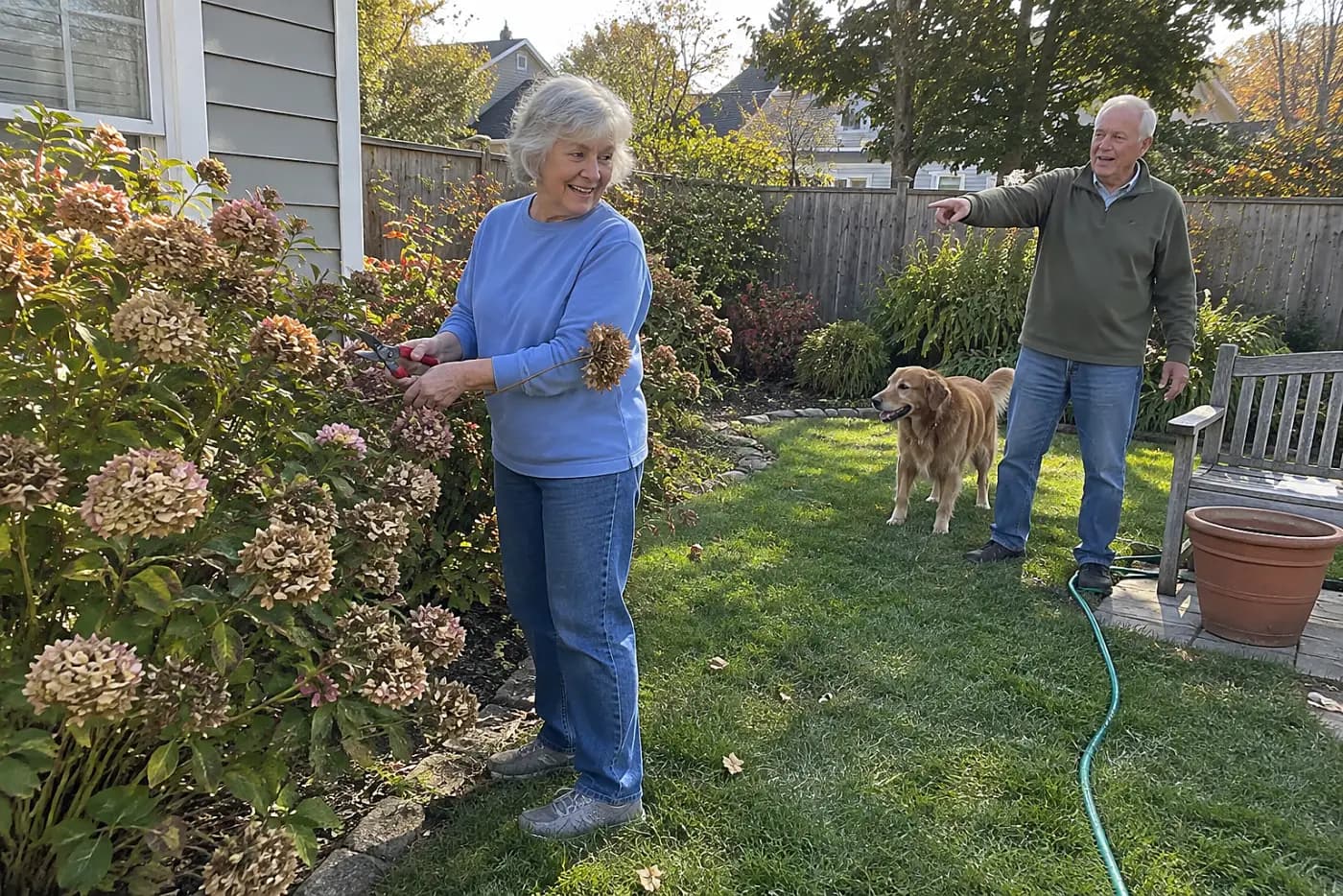 Woman holding pruners beside faded hydrangea flowers in her backyard.