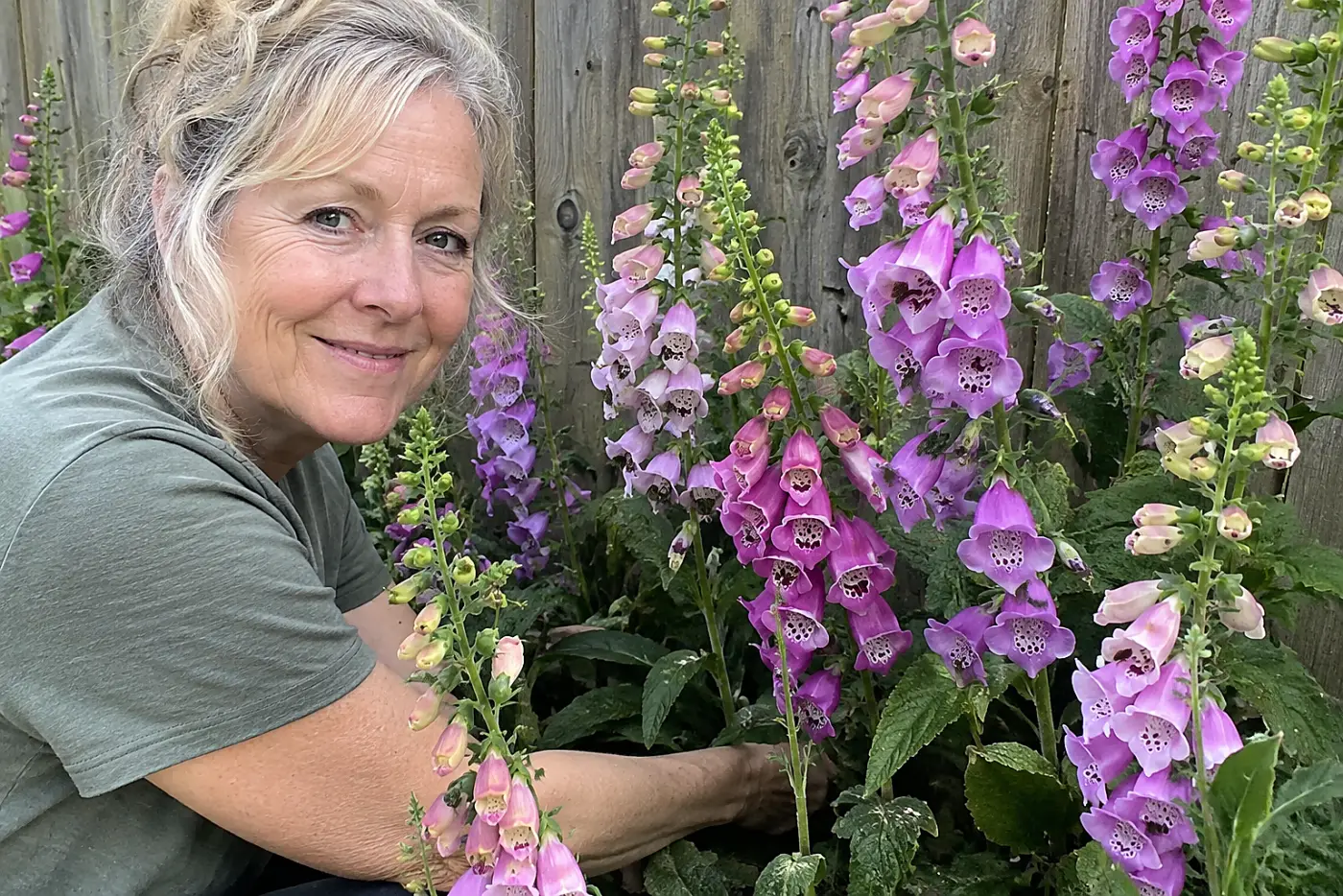Foxgloves beside the fence stand in a backyard border, with a woman over 50 tending nearby and no visible writing.