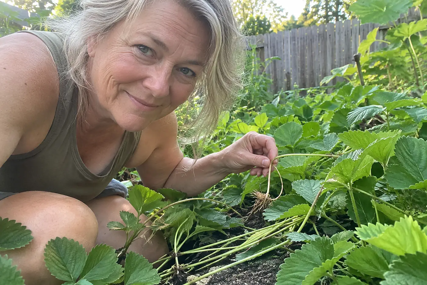 Strawberry runners between rows stretch into a vegetable garden path, with a woman over 50 tending the plants and no visible writing.