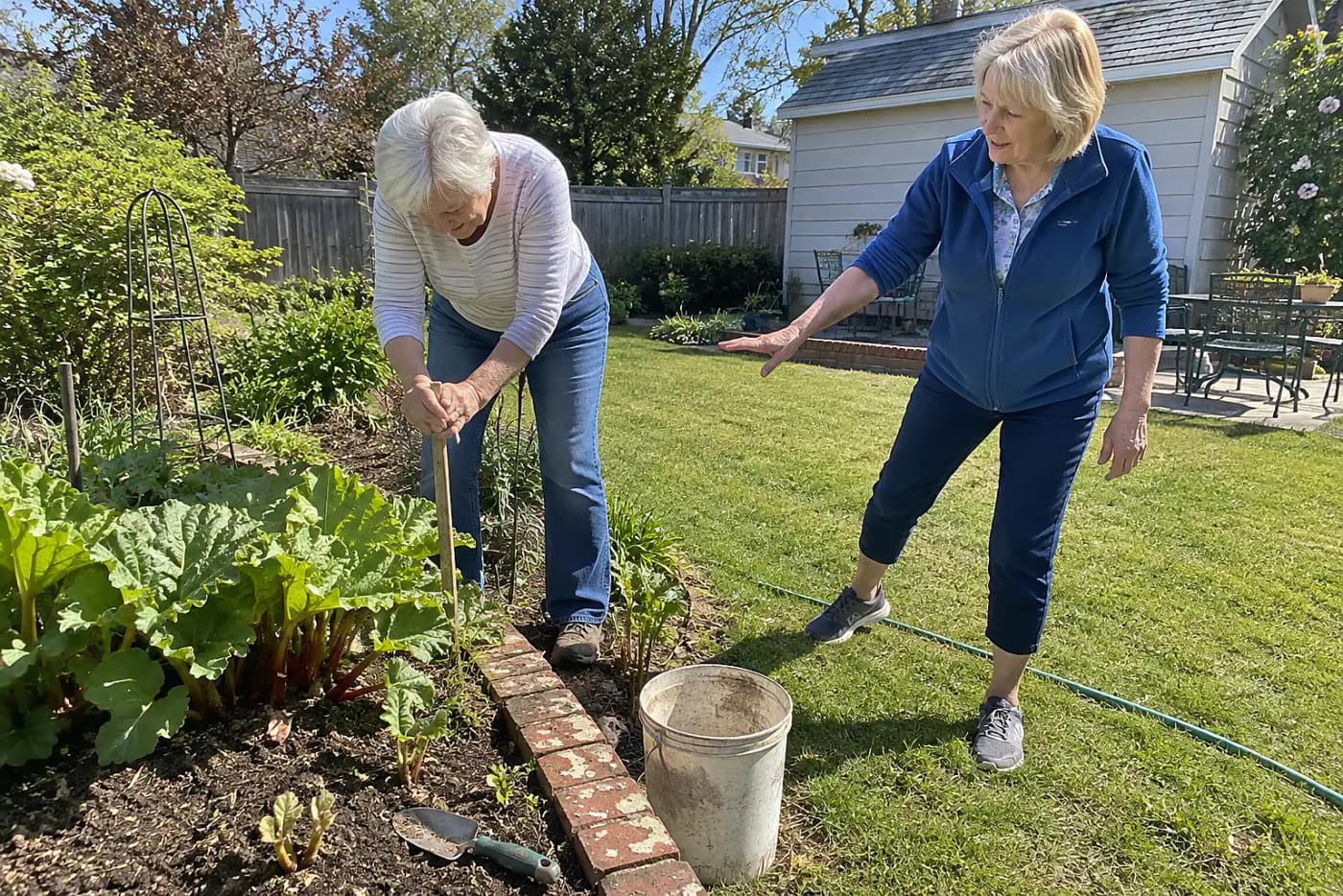 Older woman placing a plant label beside rhubarb in a backyard bed.