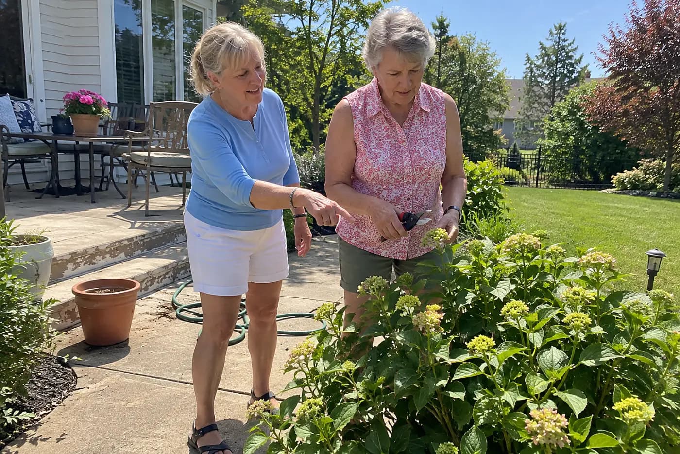 Woman placing pruning shears above a bud on a shrub near her patio.