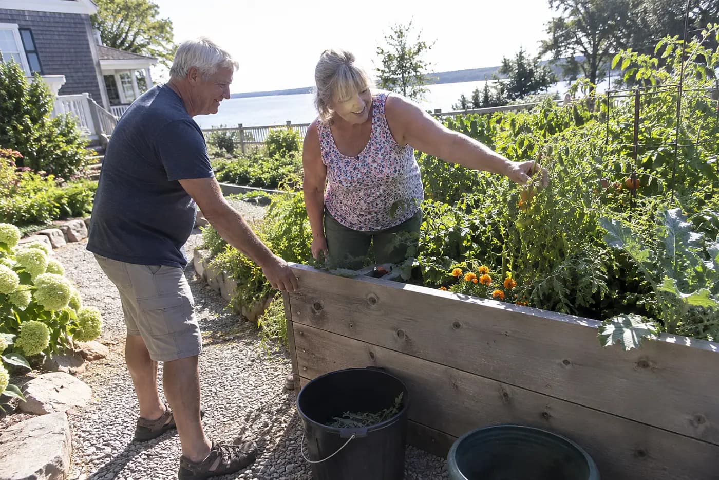Older woman reaching across a raised bed from a garden path.
