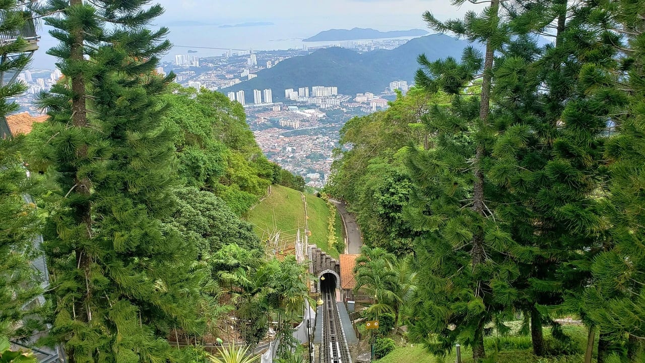 Pine trees line funicular railway tracks leading down a hill toward a city in Penang, Malaysia.