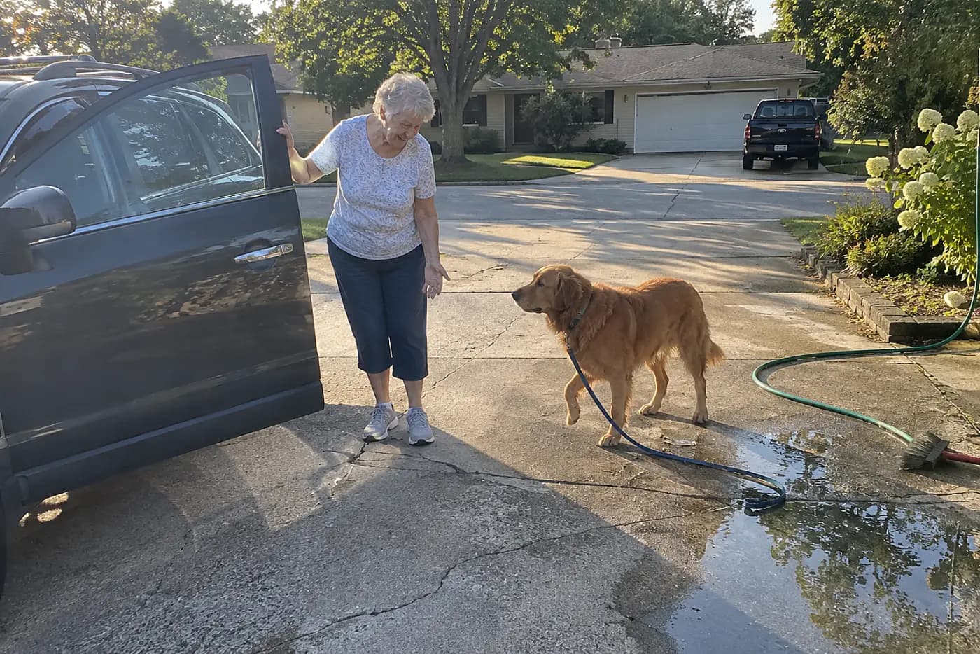 Older woman standing beside an open car door in her driveway while her dog pauses on the ground.