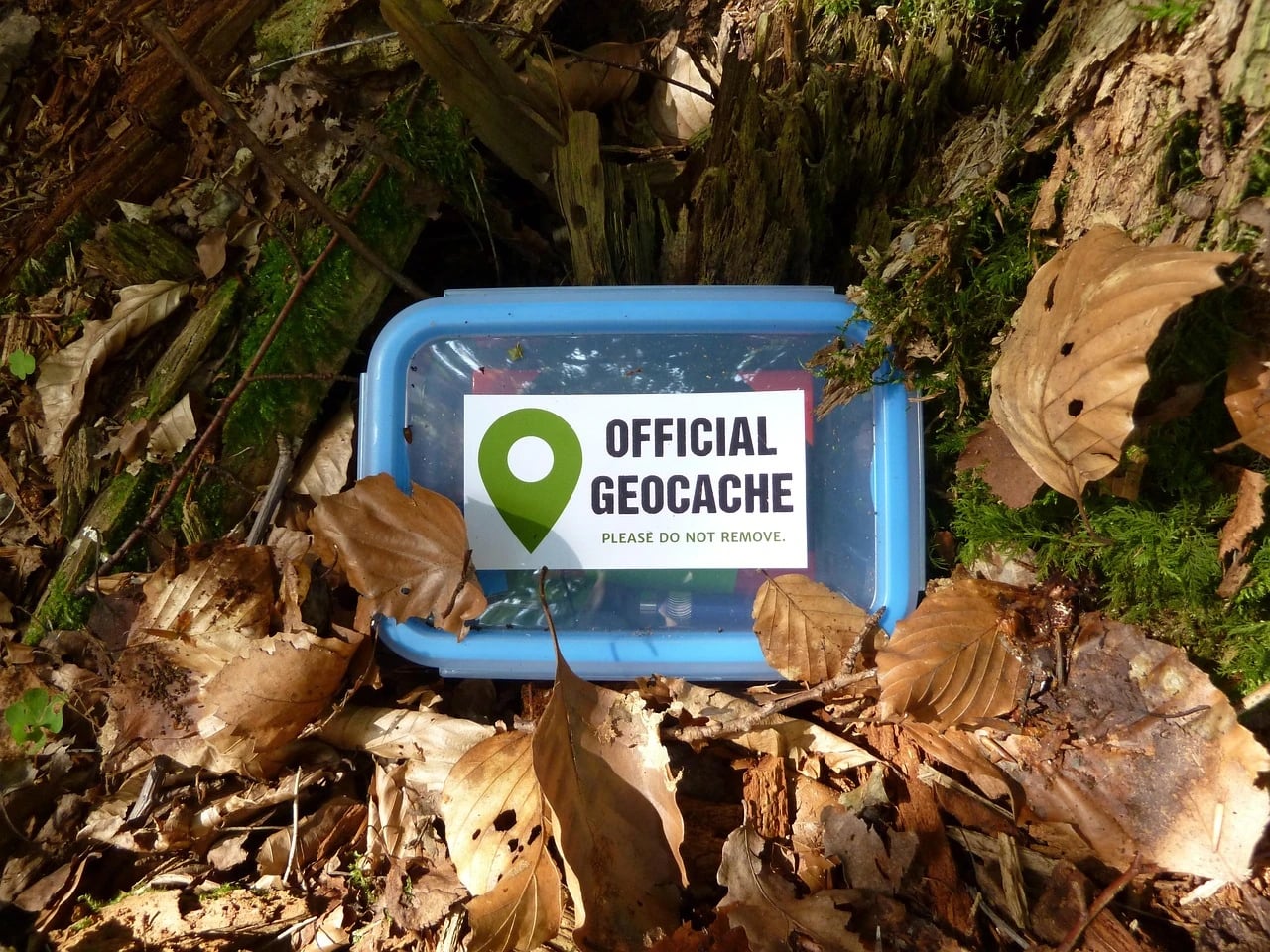Blue plastic geocache box labeled Official Geocache hidden among fallen leaves and moss at the base of a tree