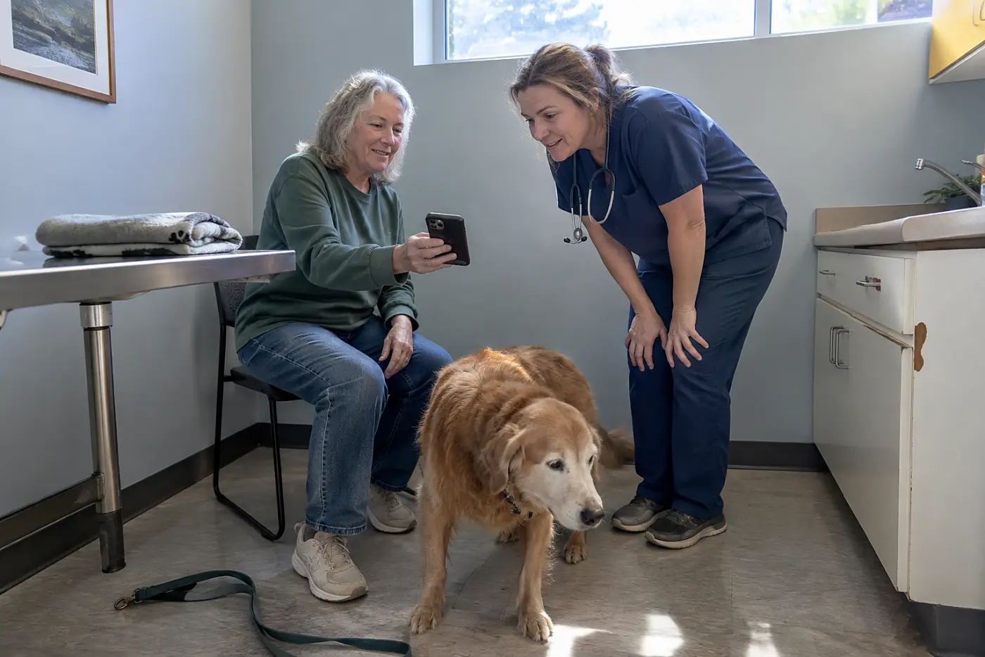 An older woman shows a video of her dog to a veterinarian in an exam room.
