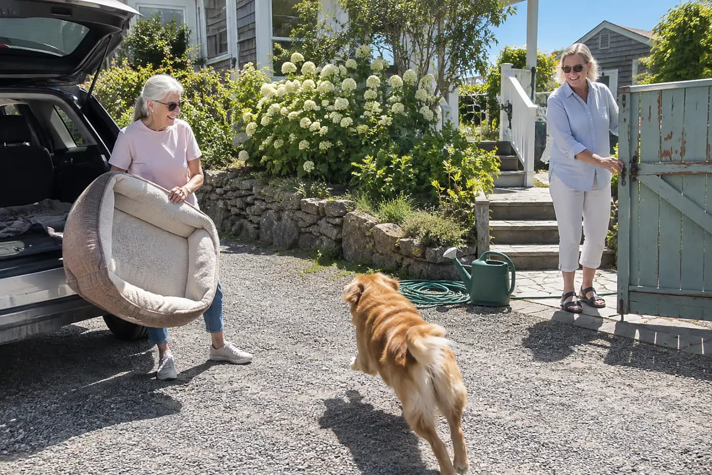 Older woman holding a clean dog bed beside her parked car outside a friend's house.