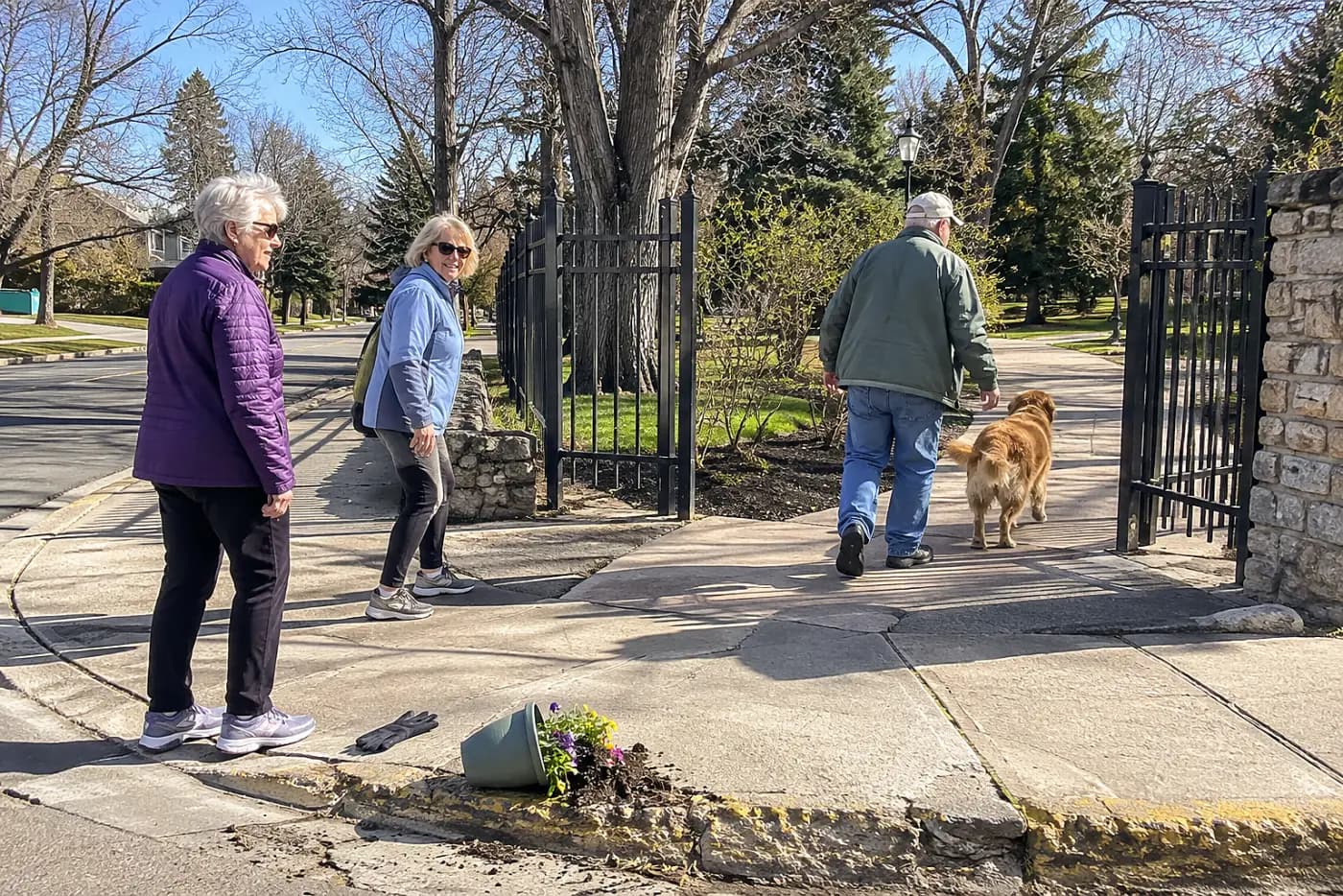 An older woman stops at a street corner near a park entrance without a leash.
