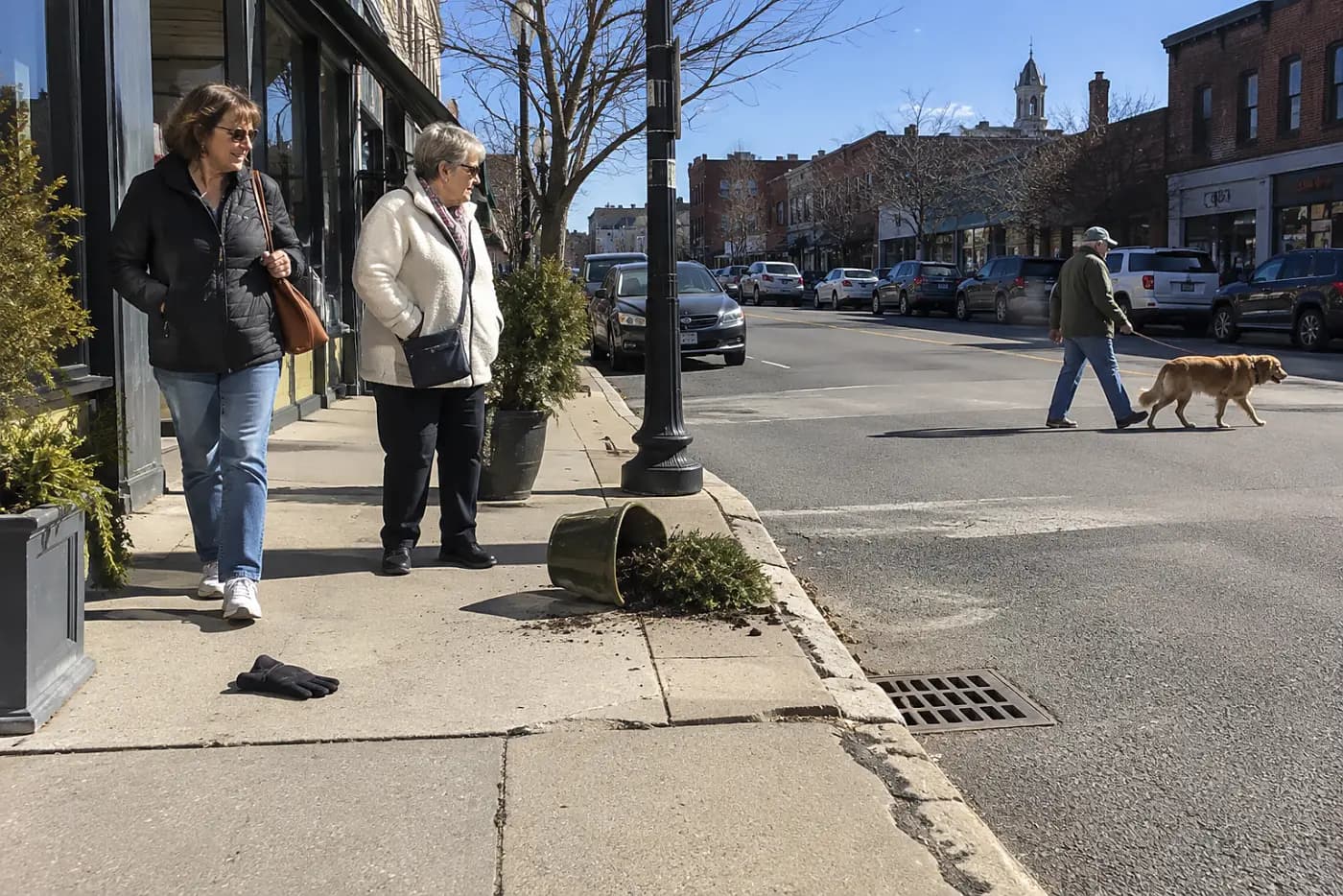 An older woman pauses on a sidewalk to watch a dog walking across the street.