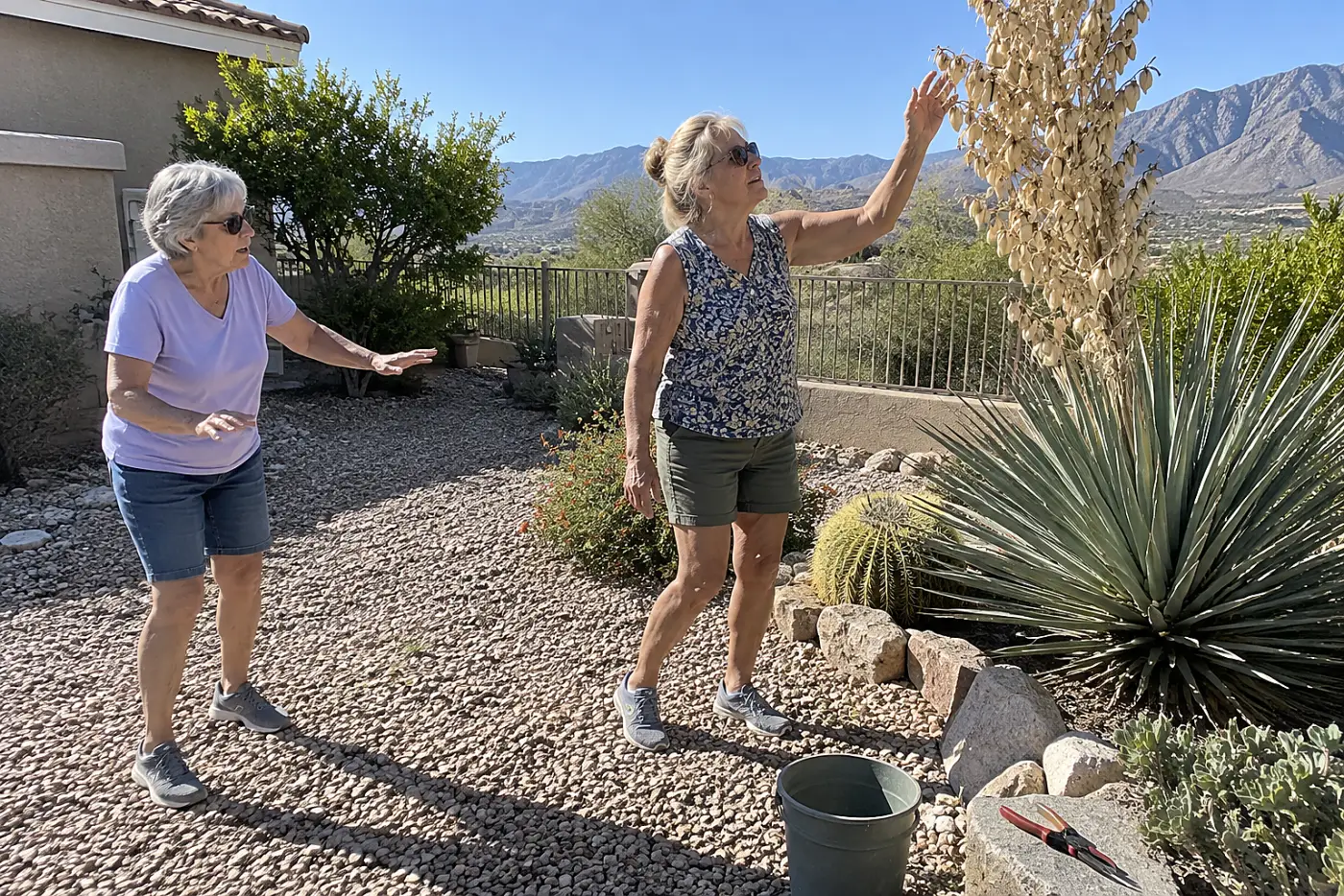 A woman in her sixties reaches toward a dried yucca flower stalk in a gravel garden.
